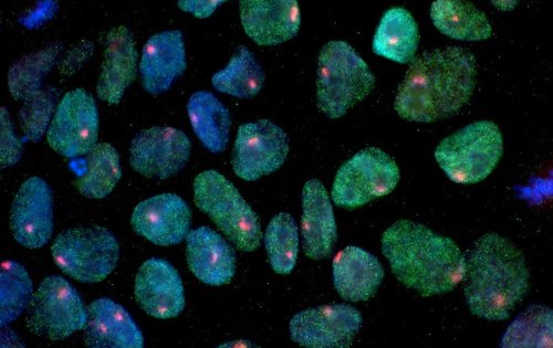 Новая подборка новостей мира науки и техники 21-03-2016 Новая подборка новостей мира науки и техники 21-03-2016