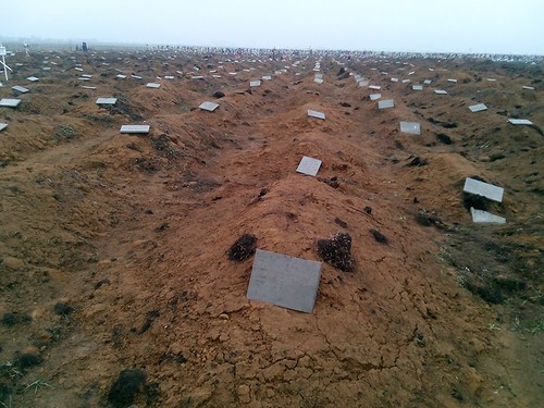 Пролей Могерини хотя бы крошечную слезинку над «горловской мадонной»… Пролей Могерини хотя бы крошечную слезинку над «горловской мадонной»…