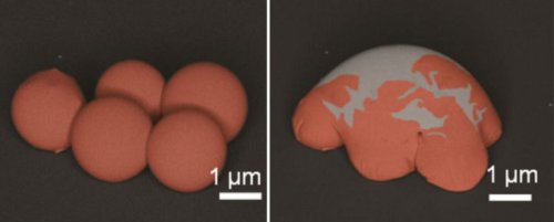 Новая подборка новостей мира науки и техники 27-03-2016