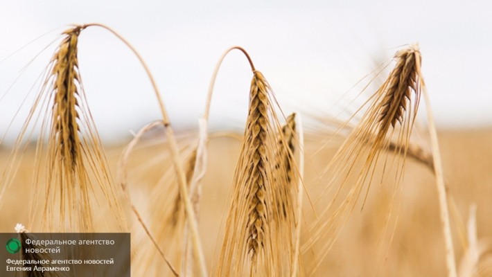 Новая афера Яценюка оставит украинцев без земли и будущего Новая афера Яценюка оставит украинцев без земли и будущего