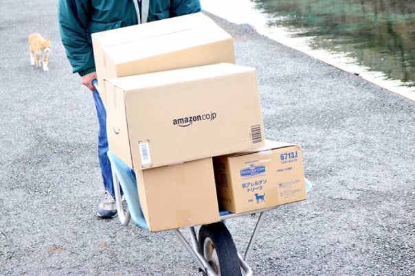 Японский кошачий остров завалили коробками с кормом Японский кошачий остров завалили коробками с кормом