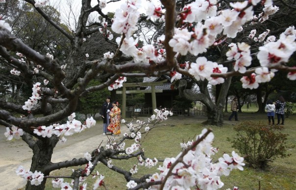 После землетрясения 2011 года Япония сместилась на восток на 5 метров После землетрясения 2011 года Япония сместилась на восток на 5 метров