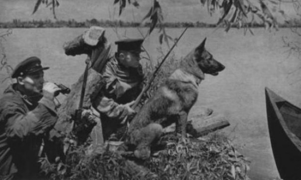 Неизвестная война. Собачья