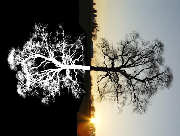 О чем спорят Россия и Украина? О чем спорят Россия и Украина?