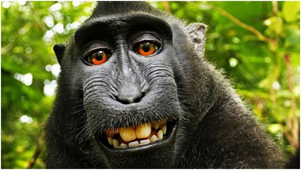 Задача, сравнимая с возрождением СССР. Юрий Селиванов Задача, сравнимая с возрождением СССР. Юрий Селиванов