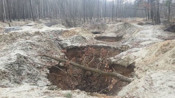 Экологическая катастрофа в Полесье из-за незаконной добычи янтаря
