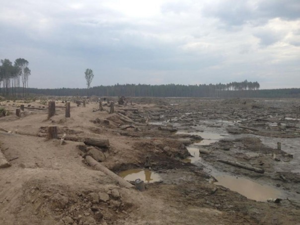 Украинская Африка. Люди гибнут за янтарь Украинская Африка. Люди гибнут за янтарь