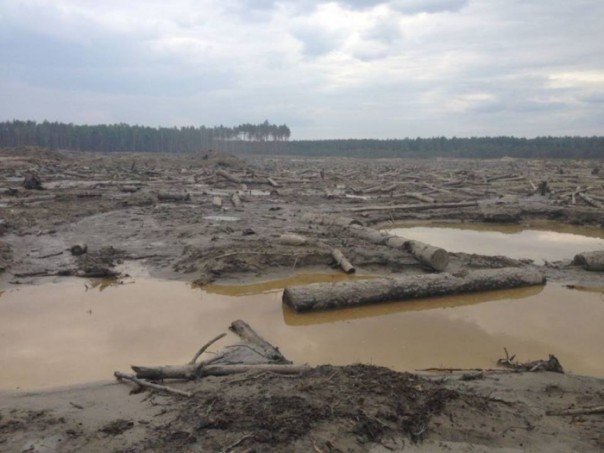 Украинская Африка. Люди гибнут за янтарь Украинская Африка. Люди гибнут за янтарь