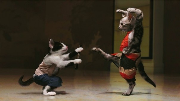 Абсурдные новости Абсурдные новости