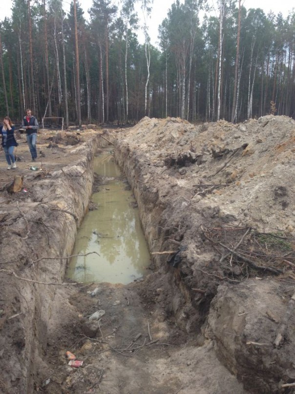 Янтарный апокалипсис. А Полесье? Да кому оно нужно