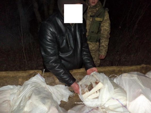 Хохлы идут вразнос Хохлы идут вразнос