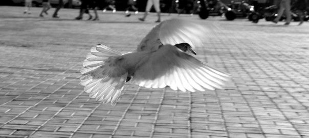 Запад, давай, до свидания! Больше никаких «Je suis», только Путин 