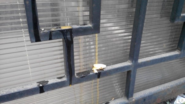 Украинские радикалы в Одессе закидали российское посольство яйцами Украинские радикалы в Одессе закидали российское посольство яйцами