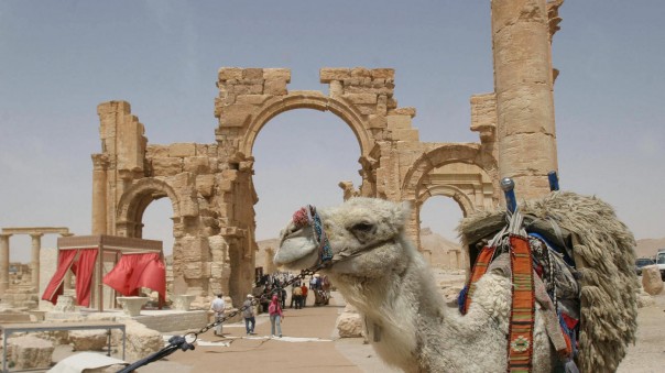 Сподобится ли интеллигенция сказать Путину «спасибо» за Пальмиру? Сподобится ли интеллигенция сказать Путину «спасибо» за Пальмиру?