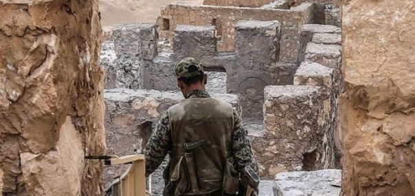 Пальмира первенства Пальмира первенства