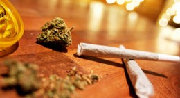 Голландская лошадь Виталия. Александр Зубченко