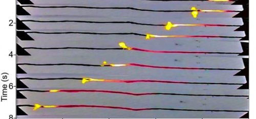 Новая подборка новостей мира науки и техники 01-04-2016 Новая подборка новостей мира науки и техники 01-04-2016