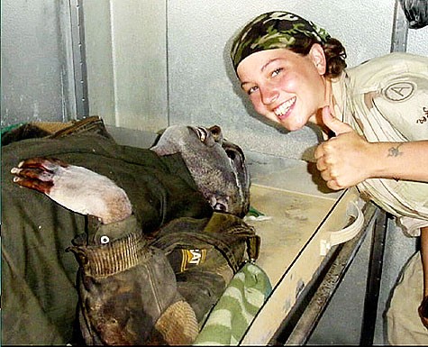 НАТО: 65 лет альянсу. Вспоминаем заслуги. НАТО: 65 лет альянсу. Вспоминаем заслуги.