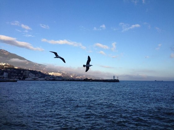 Госдеп США признал право на самоопределение Карабаха и Крыма Госдеп США признал право на самоопределение Карабаха и Крыма