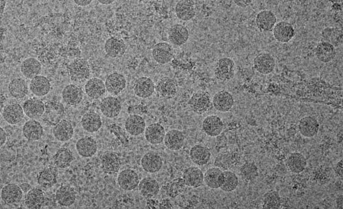 Новая подборка новостей мира науки и техники 06-04-2016