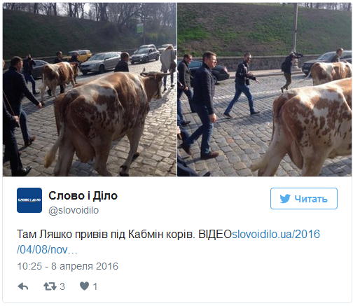 Ковбой-гомосек