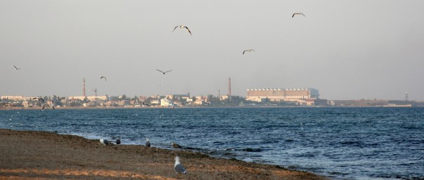 «Украина бомбила»: состояние завода в Крыму удивило Дмитрия Рогозина «Украина бомбила»: состояние завода в Крыму удивило Дмитрия Рогозина