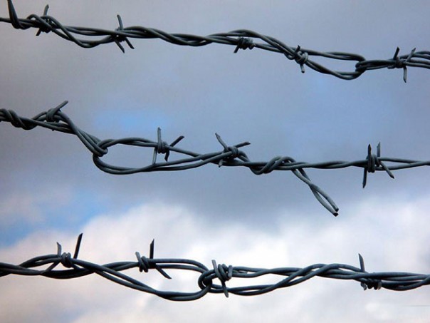 Железный занавес над концлагерем смерти «Украина». Алексей Громов