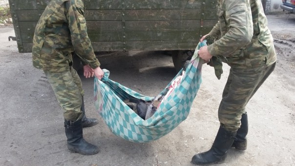 У ВСУ множатся небоевые потери на Донбассе: украинский боевик выпустил 15 пуль в своего сослуживца У ВСУ множатся небоевые потери на Донбассе: украинский боевик выпустил 15 пуль в своего сослуживца