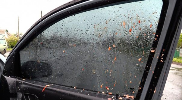 Огонь по поселку Еленовка под Донецком вели боевики нацбатальона «Айдар», полагают в Минобороны Огонь по поселку Еленовка под Донецком вели боевики нацбатальона «Айдар», полагают в Минобороны