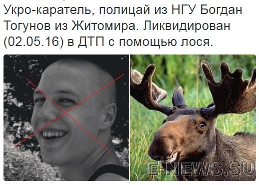 Потерь НЕТ - терять некого! Потери укрофашистов с 1 по 31 мая (Фото) Потерь НЕТ - терять некого! Потери укрофашистов с 1 по 31 мая (Фото)