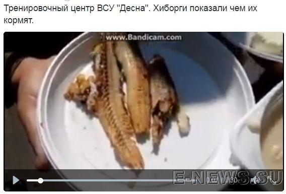 Потерь НЕТ - терять некого! Потери укрофашистов с 1 по 31 мая (Фото) Потерь НЕТ - терять некого! Потери укрофашистов с 1 по 31 мая (Фото)