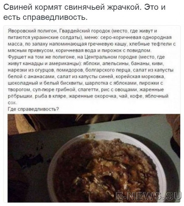 Потерь НЕТ - терять некого! Потери укрофашистов с 1 по 31 мая (Фото) Потерь НЕТ - терять некого! Потери укрофашистов с 1 по 31 мая (Фото)