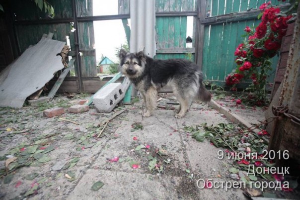 Количество пострадавших в ходе ночного обстрела ВСУ Донецка и Макеевки возросло до 15 человек Количество пострадавших в ходе ночного обстрела ВСУ Донецка и Макеевки возросло до 15 человек