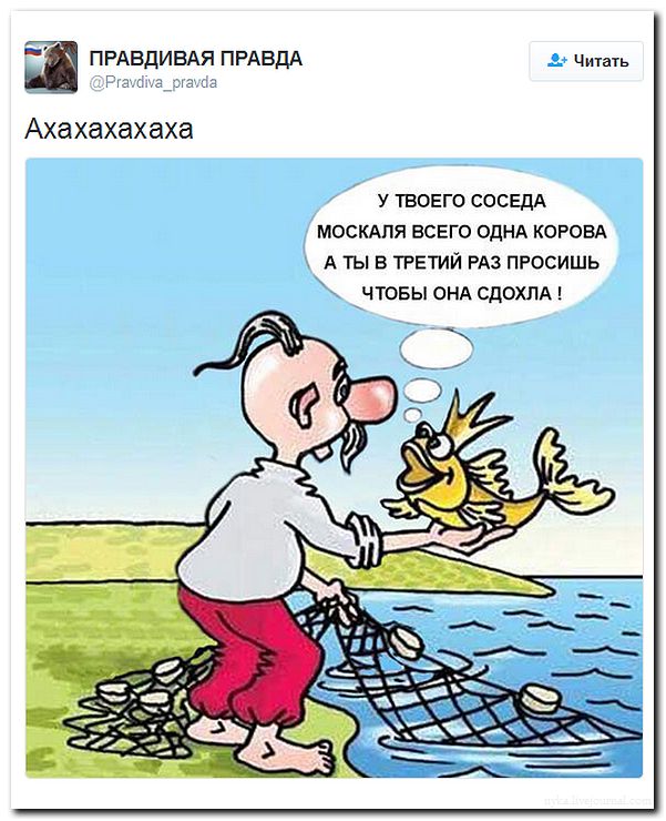 "Мыздобулы" в картинках. Смешных и не очень... 31-07-2016 "Мыздобулы" в картинках. Смешных и не очень... 31-07-2016