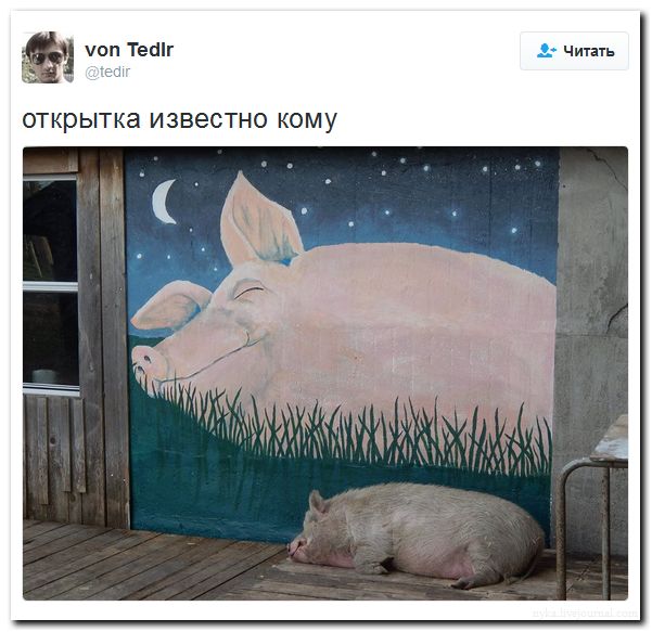 "Мыздобулы" в картинках. Смешных и не очень... 31-07-2016 "Мыздобулы" в картинках. Смешных и не очень... 31-07-2016