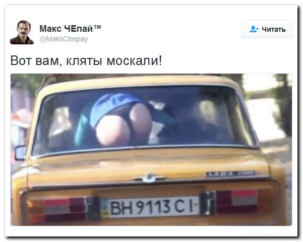 "Мыздобулы" в картинках. Смешных и не очень... 31-07-2016 "Мыздобулы" в картинках. Смешных и не очень... 31-07-2016