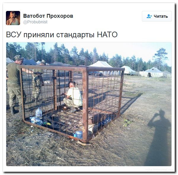 "Мыздобулы" в картинках. Смешных и не очень... 31-07-2016 "Мыздобулы" в картинках. Смешных и не очень... 31-07-2016