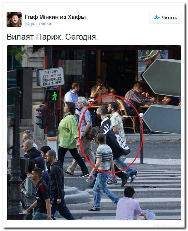 "Мыздобулы" в картинках. Смешных и не очень... 31-07-2016 "Мыздобулы" в картинках. Смешных и не очень... 31-07-2016