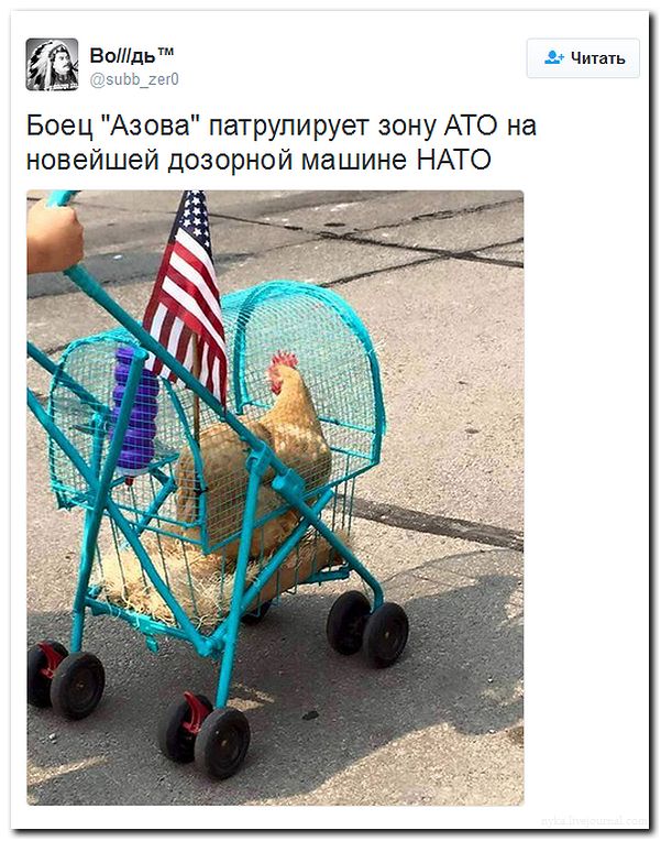 "Мыздобулы" в картинках. Смешных и не очень... 31-07-2016 "Мыздобулы" в картинках. Смешных и не очень... 31-07-2016