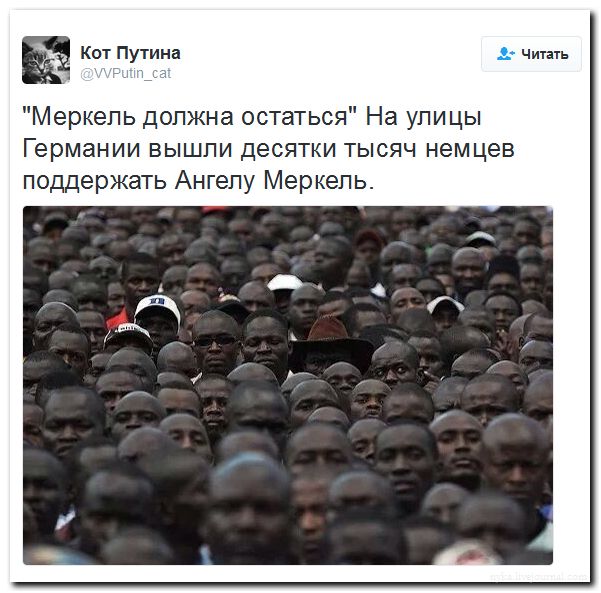 "Мыздобулы" в картинках. Смешных и не очень... 31-07-2016 "Мыздобулы" в картинках. Смешных и не очень... 31-07-2016