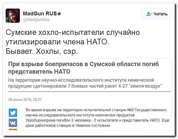 "Мыздобулы" в картинках. Смешных и не очень... 31-07-2016 "Мыздобулы" в картинках. Смешных и не очень... 31-07-2016