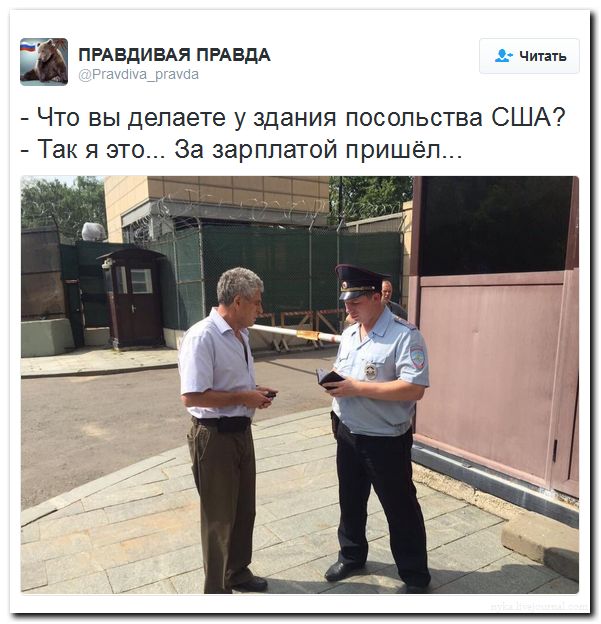 "Мыздобулы" в картинках. Смешных и не очень... 31-07-2016 "Мыздобулы" в картинках. Смешных и не очень... 31-07-2016