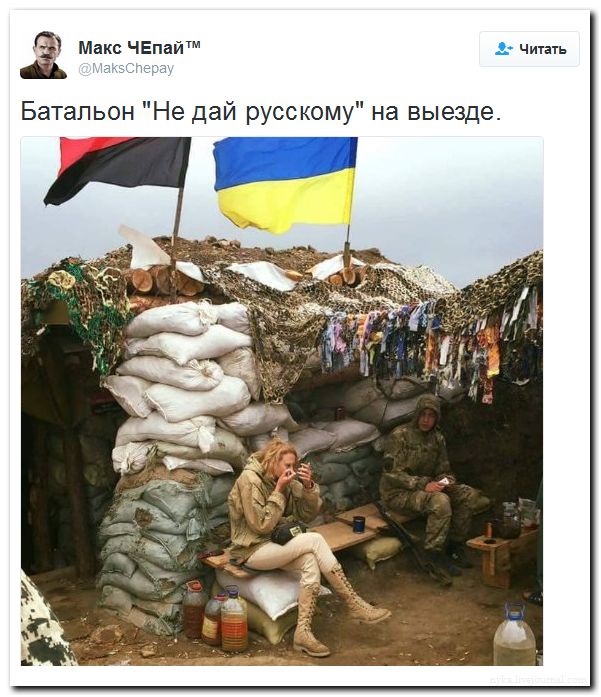 "Мыздобулы" в картинках. Смешных и не очень... 31-07-2016 "Мыздобулы" в картинках. Смешных и не очень... 31-07-2016