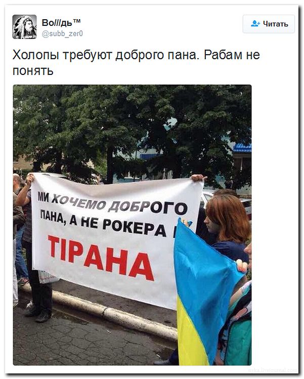 "Мыздобулы" в картинках. Смешных и не очень... 31-07-2016 "Мыздобулы" в картинках. Смешных и не очень... 31-07-2016