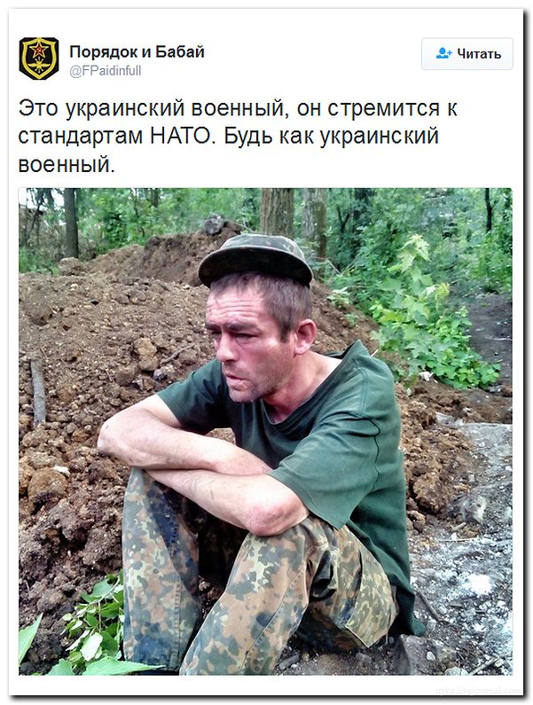 "Мыздобулы" в картинках. Смешных и не очень... 31-07-2016 "Мыздобулы" в картинках. Смешных и не очень... 31-07-2016