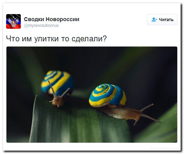 "Мыздобулы" в картинках. Смешных и не очень... 31-07-2016 "Мыздобулы" в картинках. Смешных и не очень... 31-07-2016