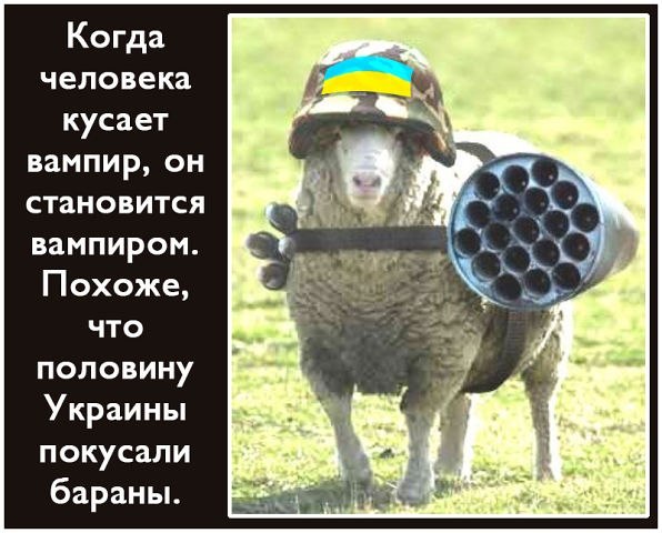 "Мыздобулы" в картинках. Смешных и не очень... 31-07-2016 "Мыздобулы" в картинках. Смешных и не очень... 31-07-2016