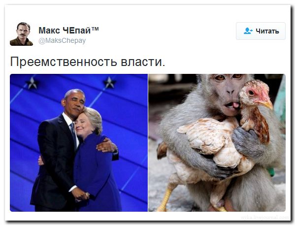 "Мыздобулы" в картинках. Смешных и не очень... 31-07-2016 "Мыздобулы" в картинках. Смешных и не очень... 31-07-2016