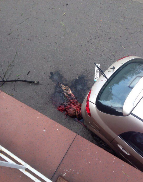 В центре Донецка прогремел мощный взрыв, один человек погиб (Фото 18+) В центре Донецка прогремел мощный взрыв, один человек погиб (Фото 18+)