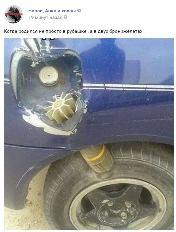 "Мыздобулы" в картинках. Смешных и не очень... 27-08-2016 "Мыздобулы" в картинках. Смешных и не очень... 27-08-2016